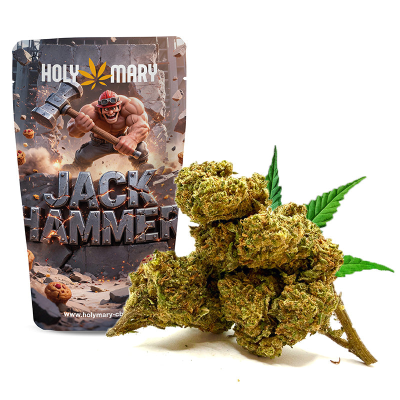 Jack Hammer – Fleur THD Holy Mary aux arômes de fruits rouges, de baies et de notes sucrées