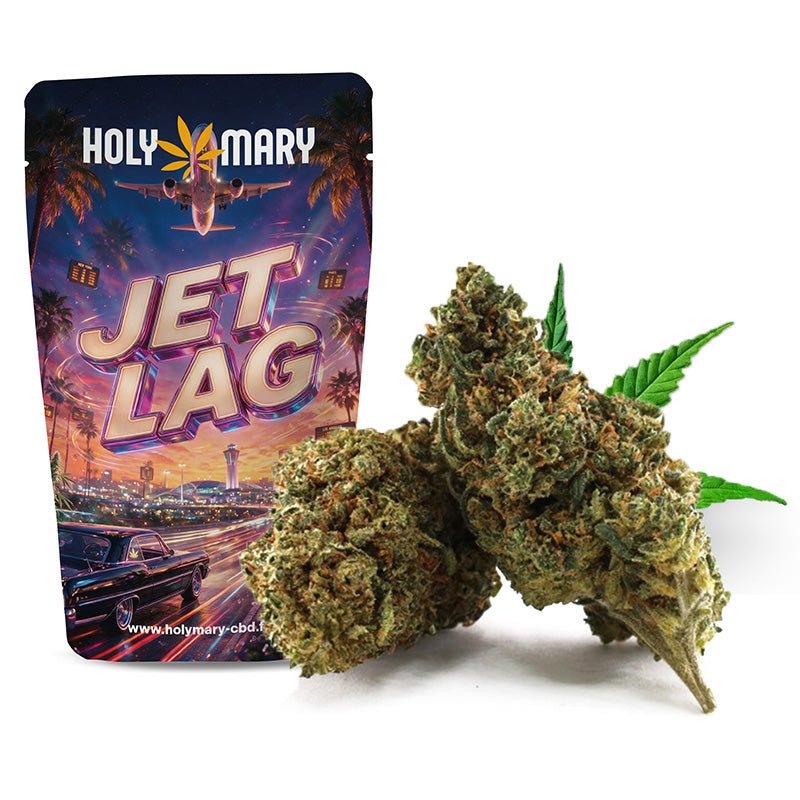 Jet Lag – Fleur THD Holy Mary aux arômes de diesel, d'agrumes et de notes épicées