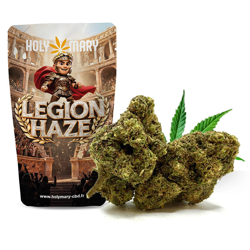 Legion Haze – Fleur THM Holy Mary aux arômes Haze, citronnés et épicés