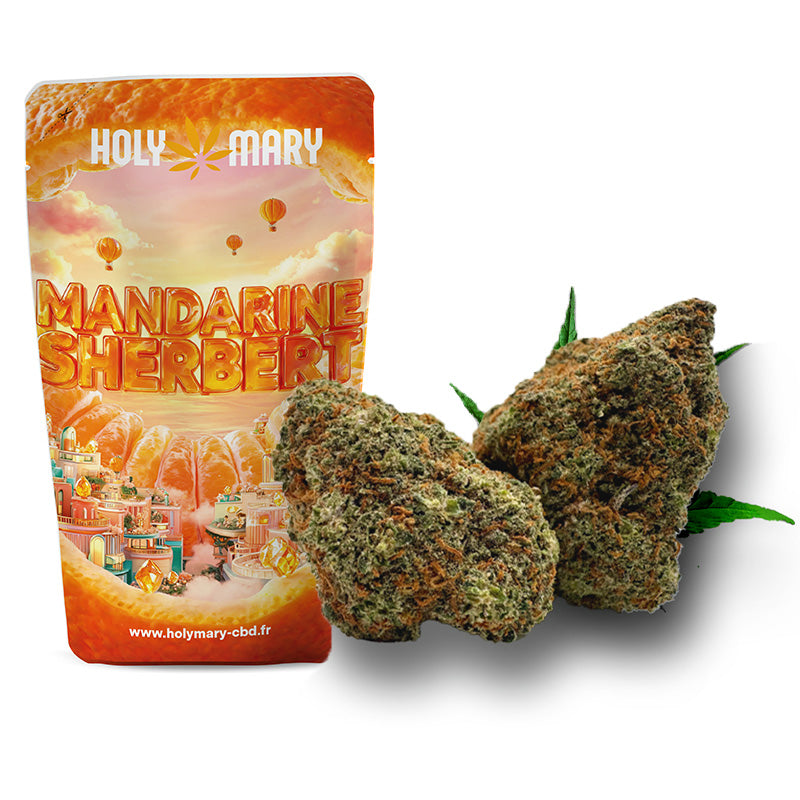 Mandarine Sherbert – Fleur CBD Holy Mary aux arômes de mandarine, d'agrumes et de notes sucrées