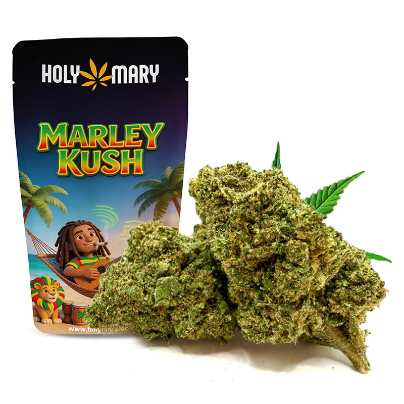 Marley Kush – Fleur THD Holy Mary aux arômes de fruits exotiques, de mangue et de notes tropicales