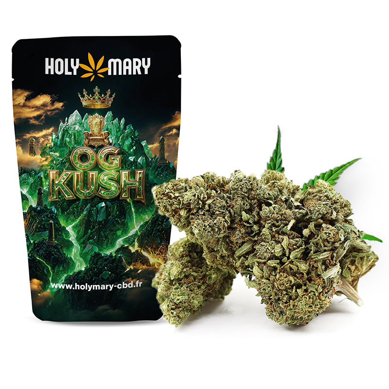 OG Kush – Fleur CBD Holy Mary aux arômes terreux, de pin et d'agrumes