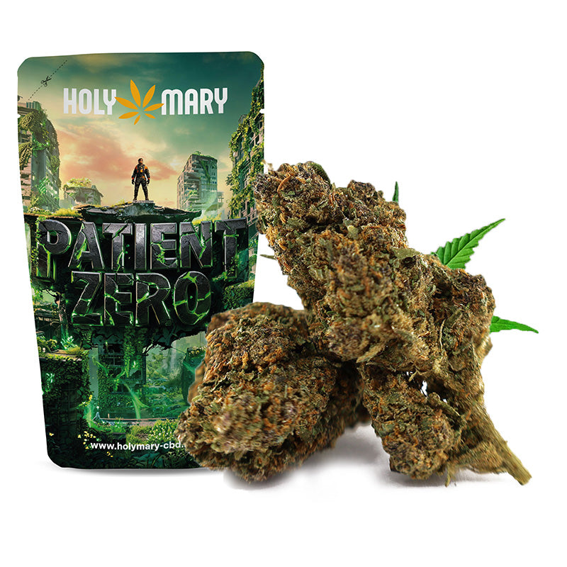 Patient Zero – Fleur THM Holy Mary