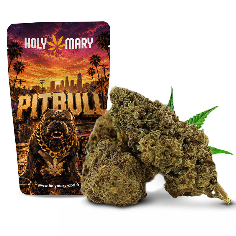 Pitbull – Fleur THD Holy Mary aux arômes terreux, boisés et légèrement épicés