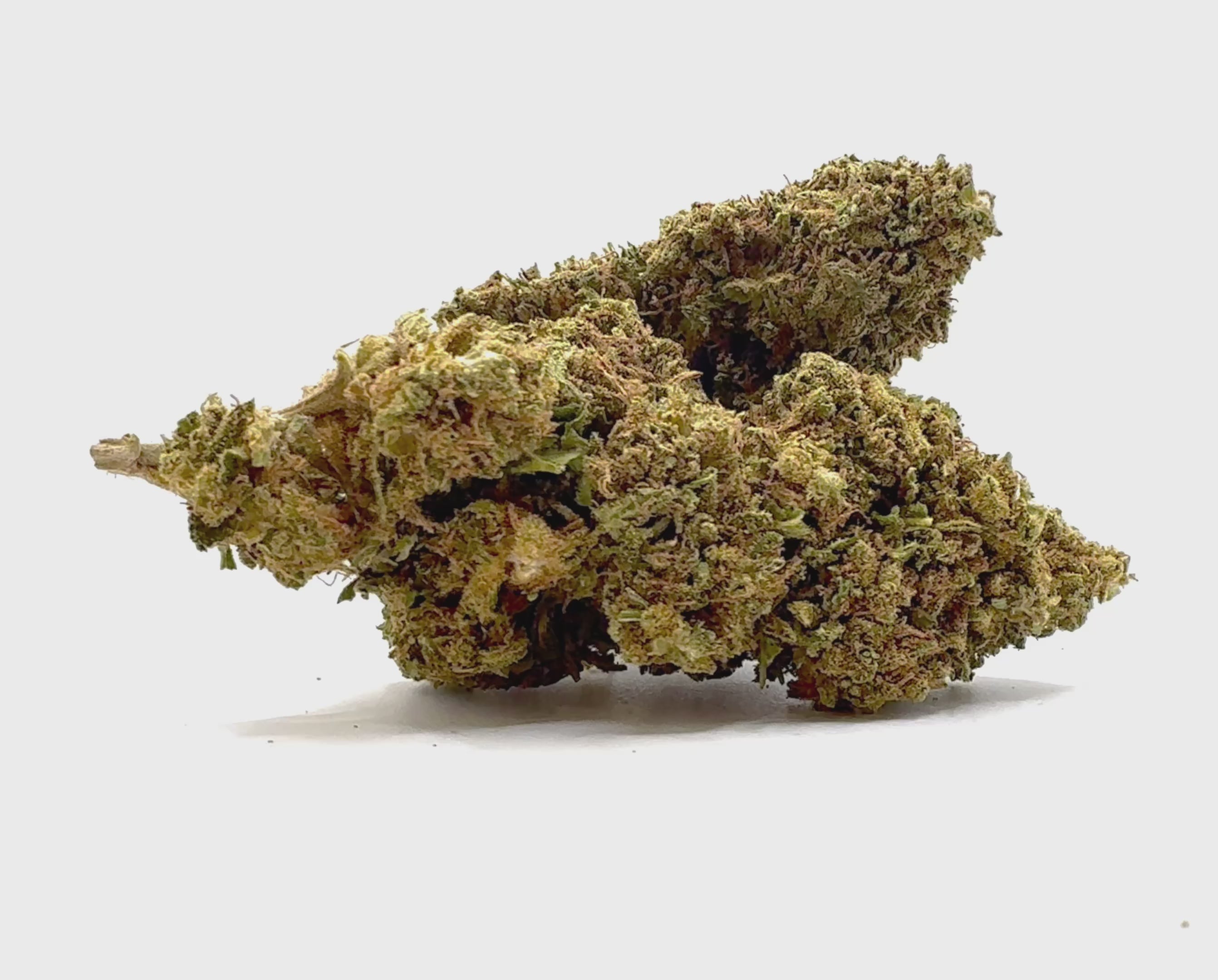 Vidéo de présentation de l'OG Kush – Fleur CBD Holy Mary