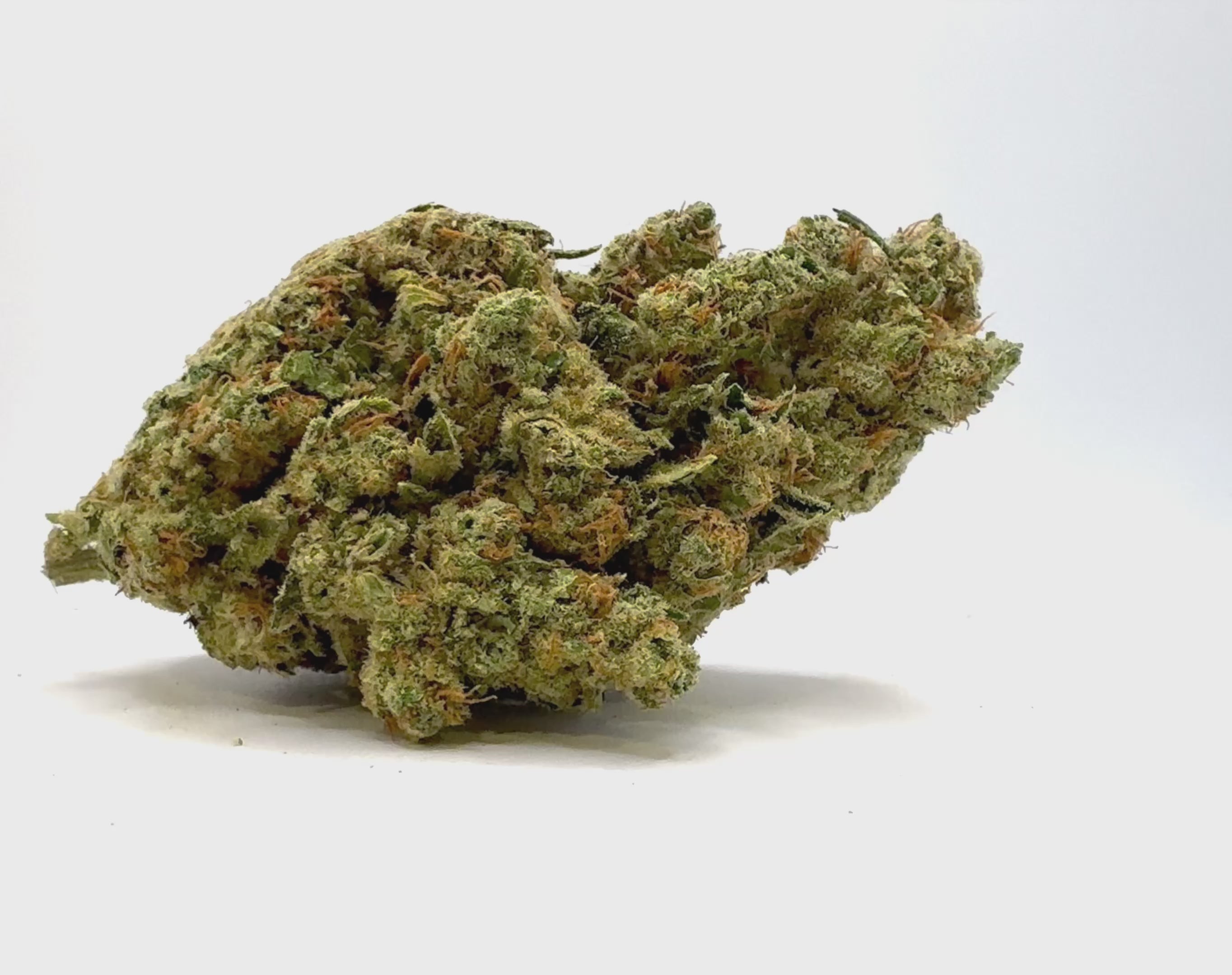 Vidéo de présentation de la Marley Kush – Fleur CBD Holy Mary