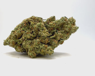 Vidéo de présentation de la Marley Kush – Fleur CBD Holy Mary