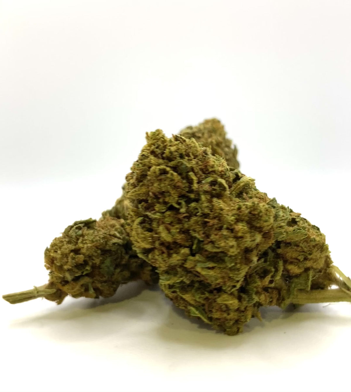 Vidéo de présentation de la White Widow – Fleur CBD Holy Mary