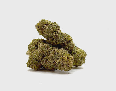 Vidéo de présentation de la Blue Mango – Fleur 10-OH-HHC Holy Mary