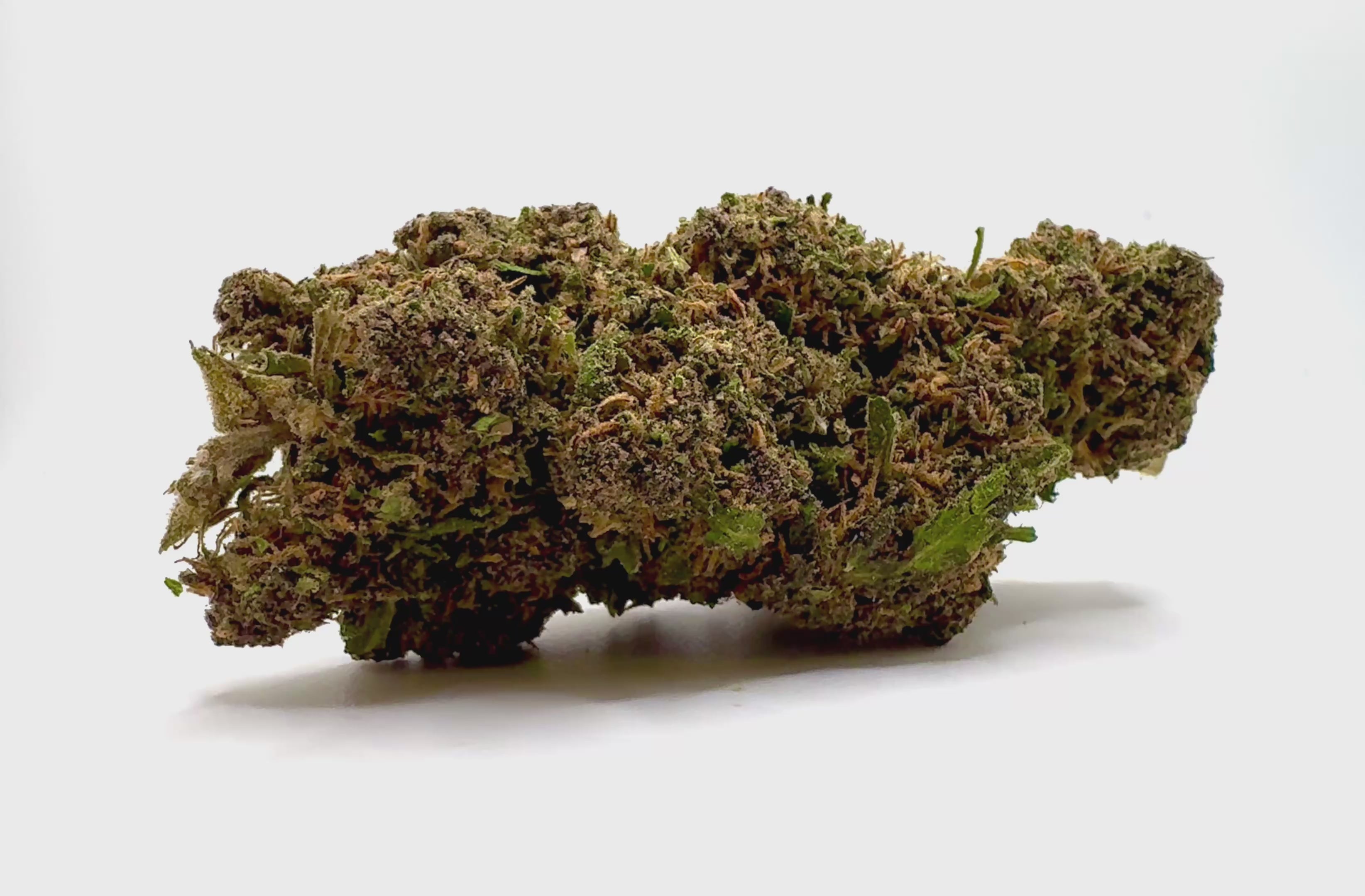 Vidéo de présentation de l'Aladdin Purple Kush – Fleur CBD Holy Mary