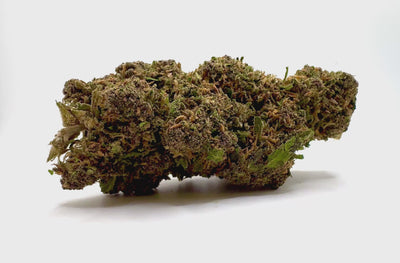 Vidéo de présentation de l'Aladdin Purple Kush – Fleur CBD Holy Mary