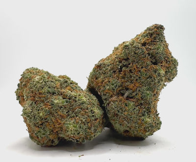 Vidéo de présentation de la Mandarine Sherbert – Fleur CBD Holy Mary