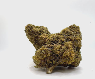 Vidéo de présentation de la Casper – Fleur 10-OH-HHC Holy Mary