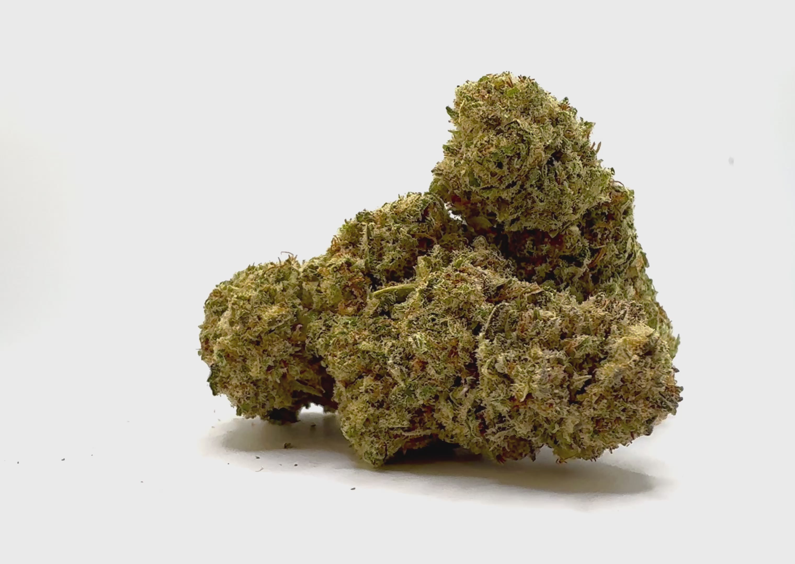 Sachet d'Exotic Haze – Fleur CBD Holy Mary