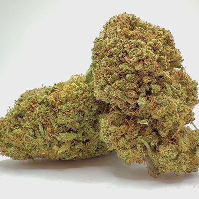 Vidéo de présentation de la Tangie – Fleur CBD Holy Mary