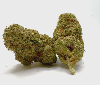 Vidéo de présentation de la GMO Cookies – Fleur CBD Holy Mary
