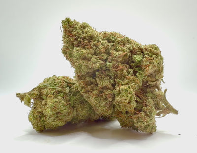 Vidéo de présentation de la Ruby Kiss – Fleur CBD Holy Mary