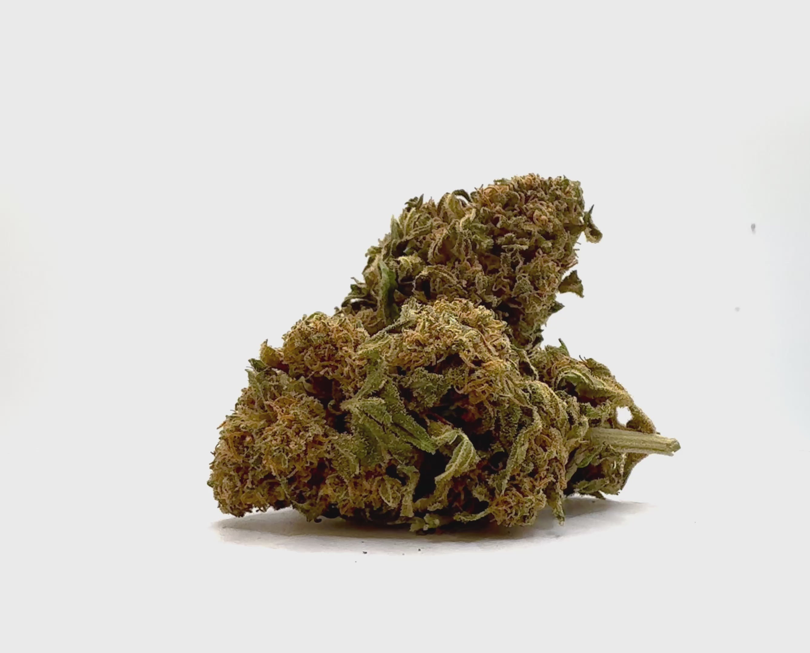 Vidéo de présentation de la Strawberry Gelato – Fleur CBD Holy Mary
