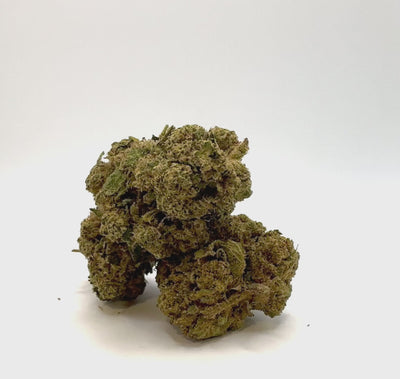 Vidéo de présentation de la Tropical Punch – Fleur CBD Holy Mary