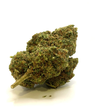 Vidéo de présentation de la 911 OG – Fleur 10-OH-HHC Holy Mary