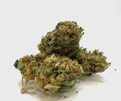 Vidéo de présentation de la Special Sauce – Fleur CBD Holy Mary