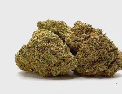 Vidéo de présentation de la Platinum OG – Fleur CBD Holy Mary