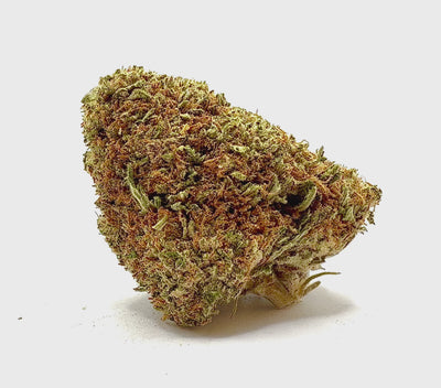 Vidéo de présentation de la Zero Gravity – Fleur CBD Holy Mary