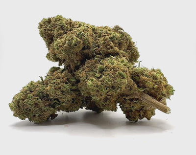 Vidéo de présentation de la Double Cinnamon – Fleur CBD Holy Mary