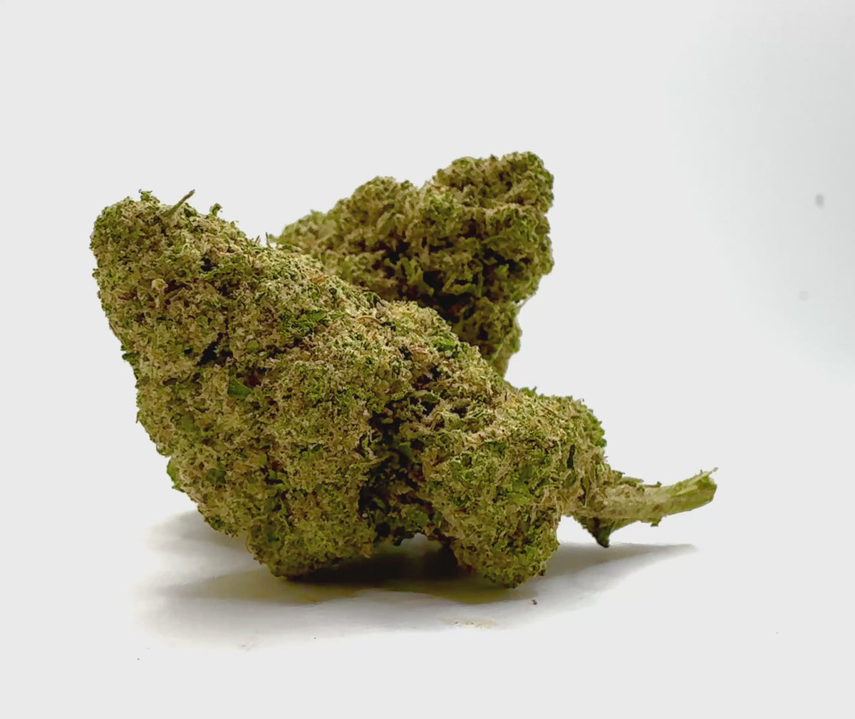 Vidéo de présentation de la Sweet Gelato – Fleur 10-OH-HHC Holy Mary