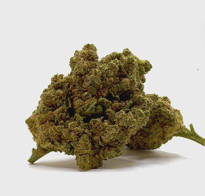 Vidéo de présentation de la Weedy Wonka – Fleur 10-OH-HHC Holy Mary