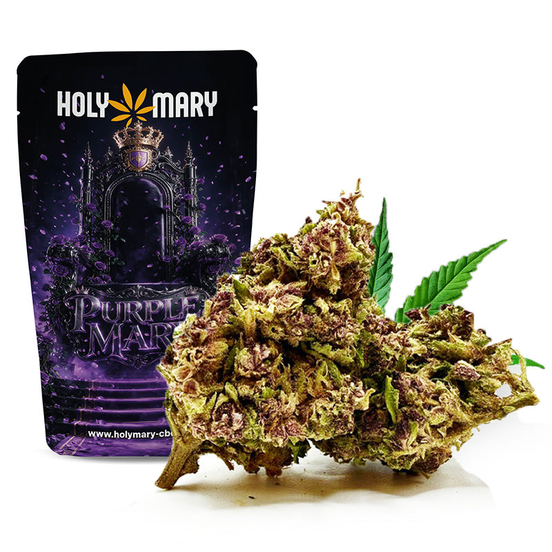 Purple Mary – Fleur THD Holy Mary aux arômes d'agrumes acidulés, de citron et de notes fruitées