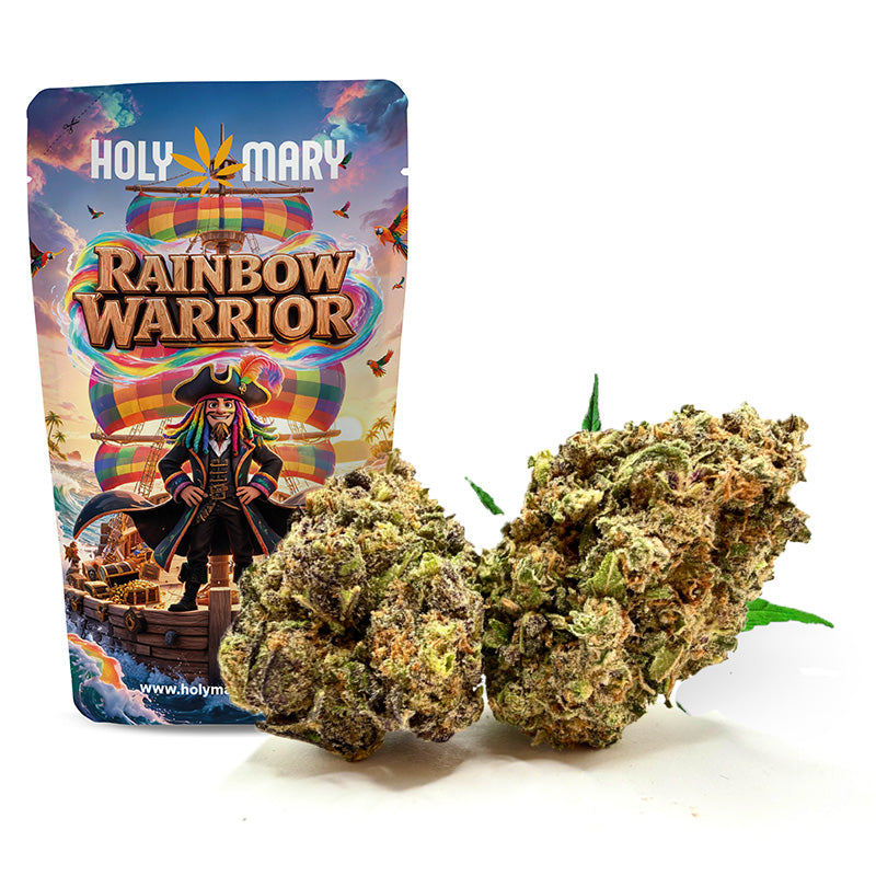 Rainbow Warrior – Fleur THD Holy Mary aux arômes de fruits exotiques, d'agrumes et de notes sucrées