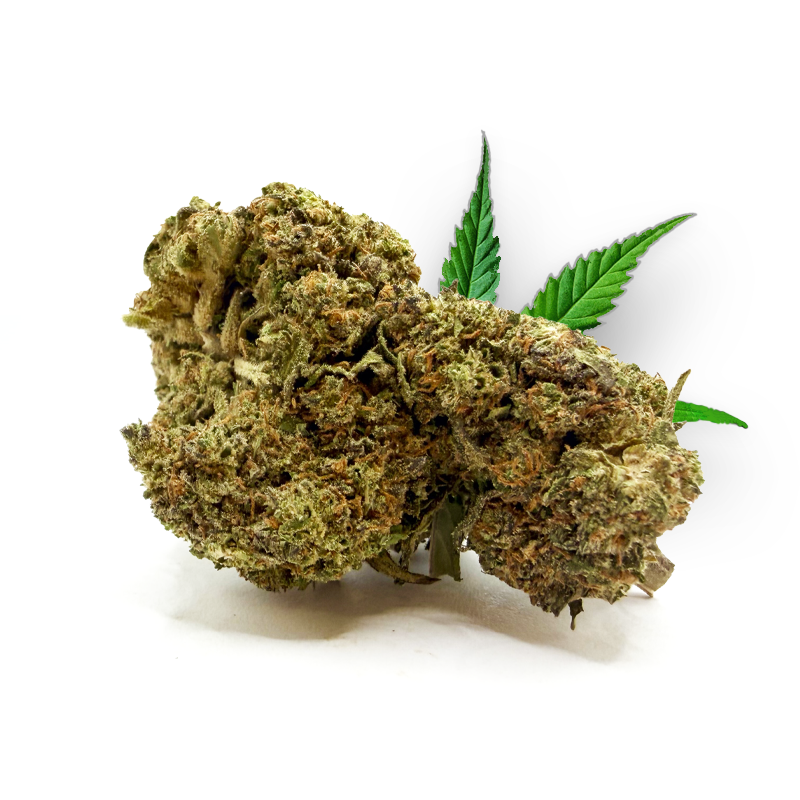Tête de Rosso Dolce – Fleur CBD Holy Mary