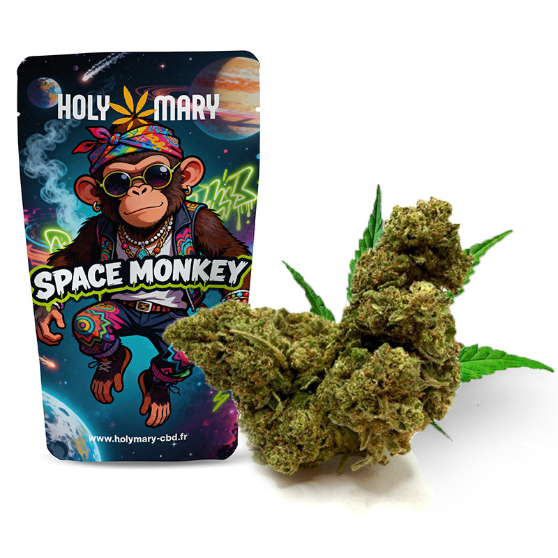 Space Monkey – Fleur THD Holy Mary aux arômes de fruits tropicaux et de notes sucrées