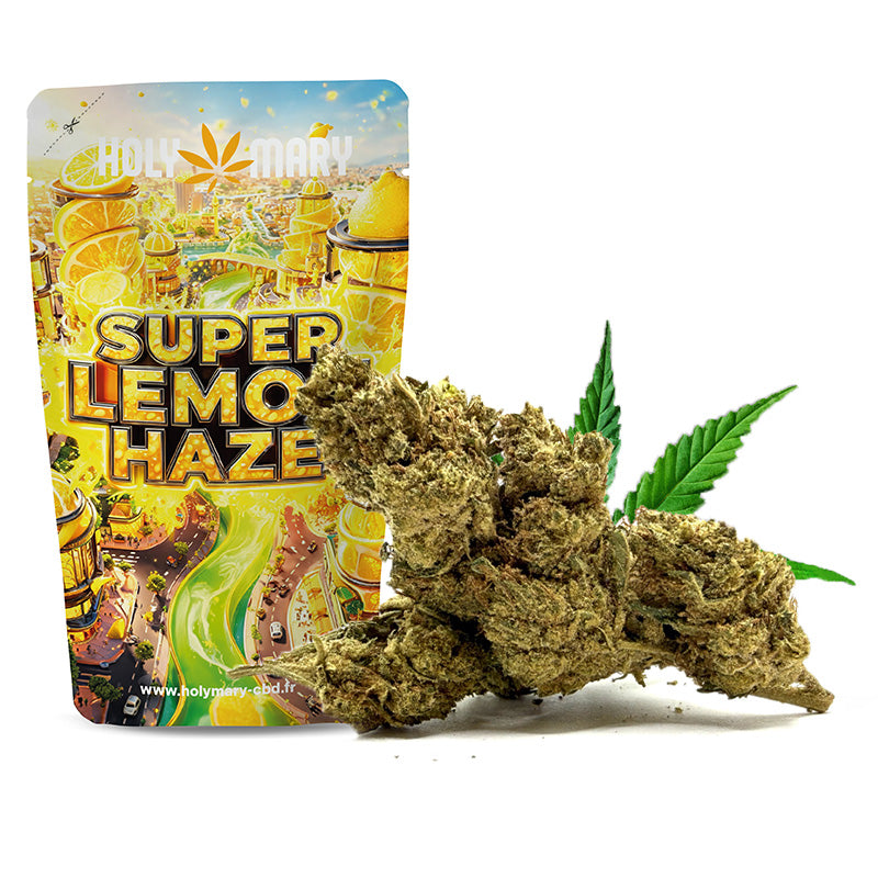 Super Lemon Haze – Fleur THM Holy Mary puissante aux arômes citronnés et Haze