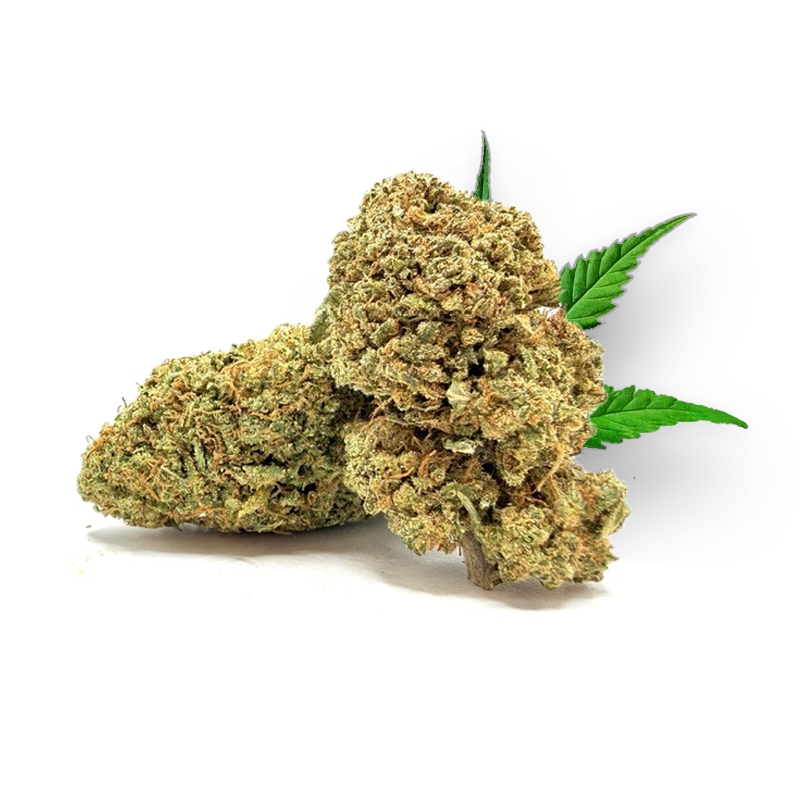 Tête de Tangie – Fleur CBD Holy Mary