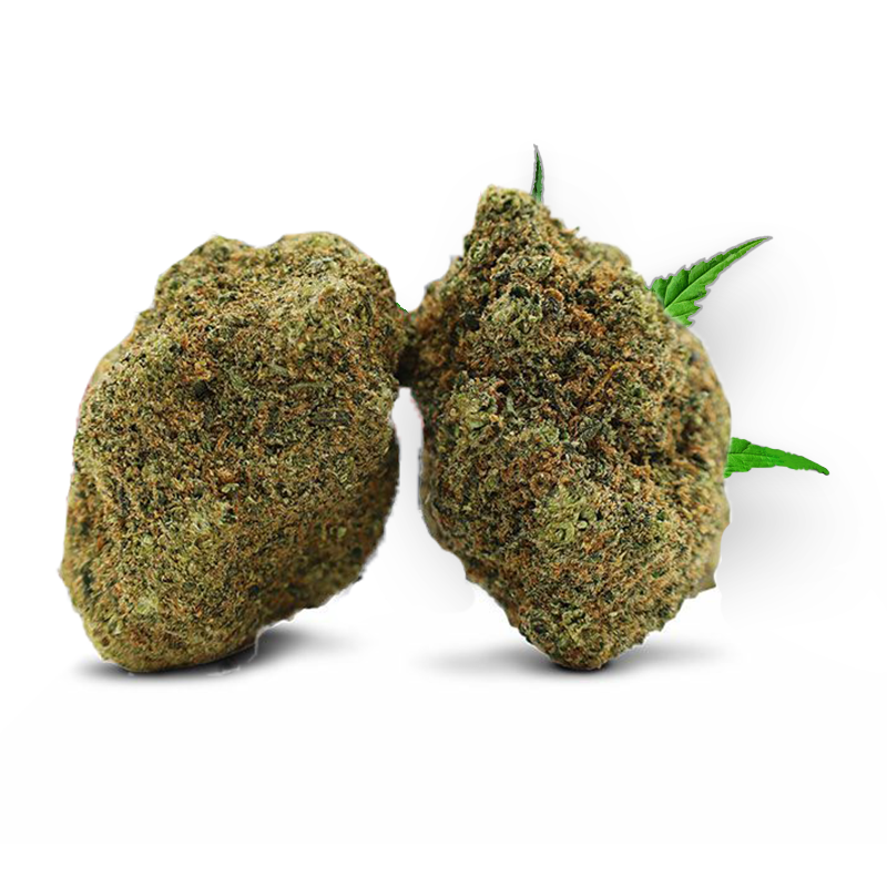 Buds Touchdown THD ultra compactes vert foncé pistils orange