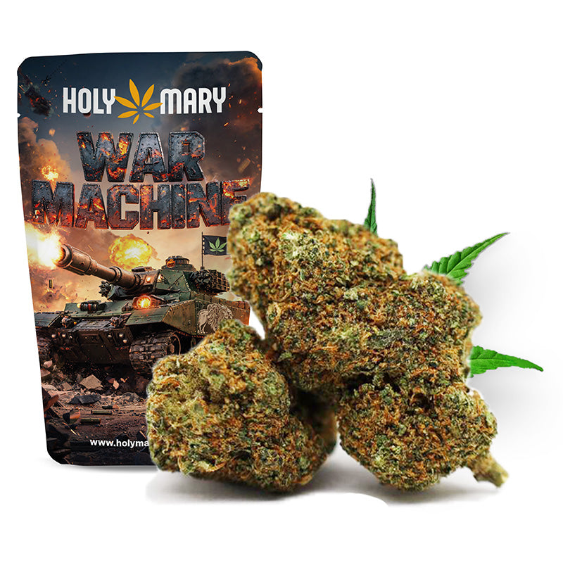 War Machine – Fleur THD Holy Mary aux arômes de skunk sucré, de pin et de notes épicées