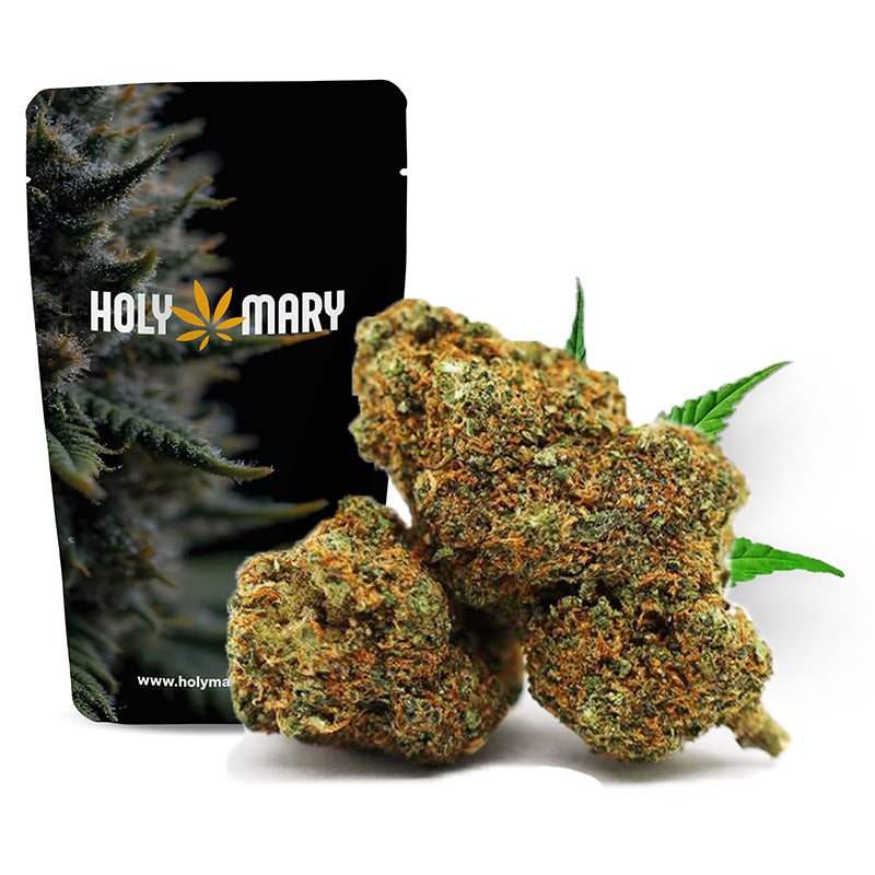 War Machine – Fleur THD Holy Mary aux arômes de skunk sucré, de pin et de notes épicées