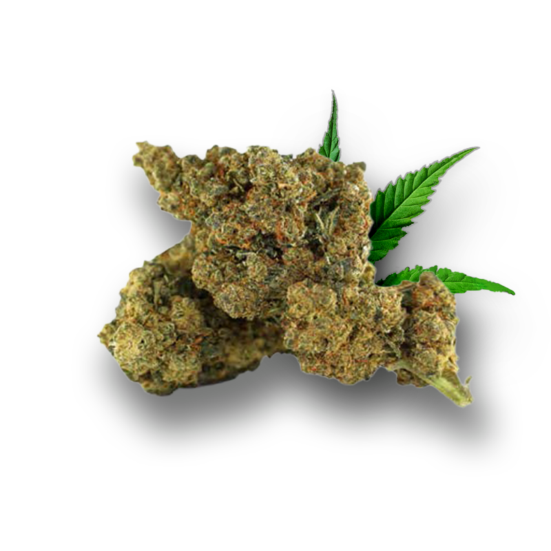 Tête de Weedy Wonka – Fleur 10-OH-HHC Holy Mary