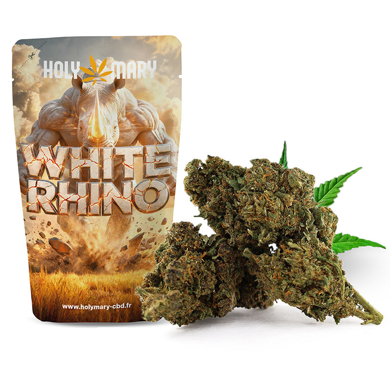 White Rhino – Fleur THD Holy Mary aux arômes terreux, de pin et de notes épicées